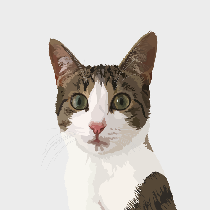 Obi